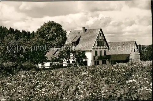 AK / Ansichtskarte Didoll Gasthof Pension Luftkurort Wittgensteiner Bergland Didoll