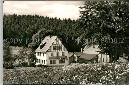 AK / Ansichtskarte Didoll Gasthof Pension Didoll im Wittgensteiner Bergland Didoll