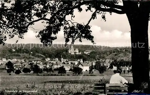 AK / Ansichtskarte Scheinfeld Panorama Schloss Kirche Scheinfeld