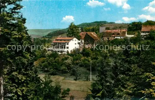 AK / Ansichtskarte Regensberg_Kunreuth Pension Bergasthof Hoetzelein Regensberg Kunreuth