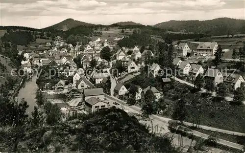 AK / Ansichtskarte Velden_Mittelfranken Panorama Velden Mittelfranken