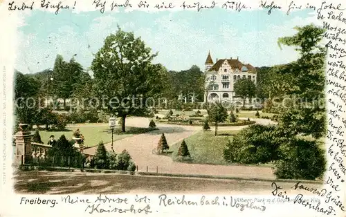 AK / Ansichtskarte Freiberg_Sachsen Albert Park Goepfertsche Villa Freiberg Sachsen