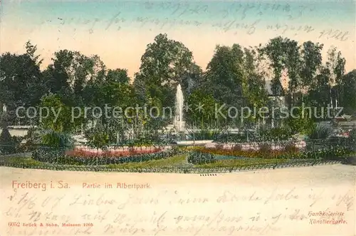 AK / Ansichtskarte Freiberg_Sachsen Albertpark Freiberg Sachsen