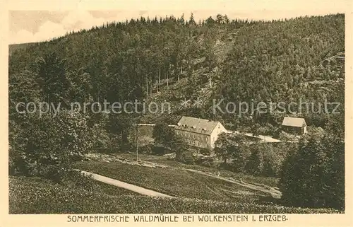 AK / Ansichtskarte Wolkenstein_Erzgebirge Waldmuehle Wolkenstein_Erzgebirge