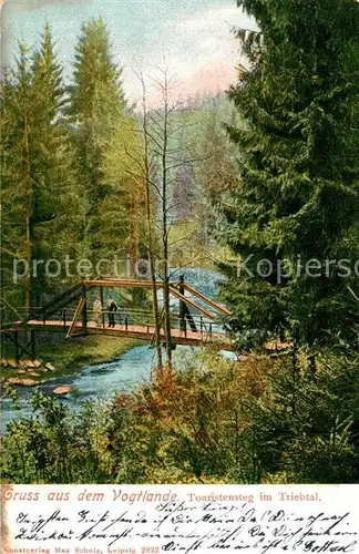 AK / Ansichtskarte Jocketa Triebtal Steg Jocketa