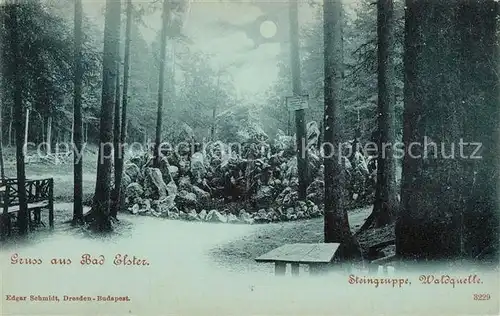 AK / Ansichtskarte Bad_Elster Steingruppe Waldquelle Bad_Elster