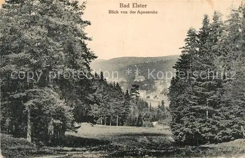 AK / Ansichtskarte Bad_Elster Blick von der Agnesruhe Bad_Elster