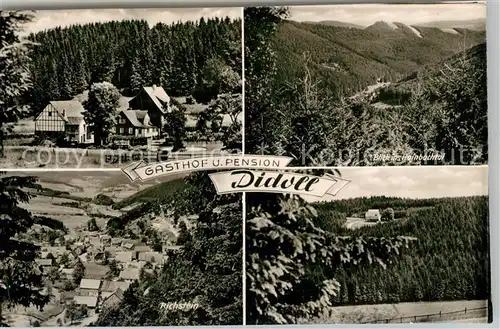 AK / Ansichtskarte Didoll Gasthof Pension Didoll Landschaftspanorama Hainbachtal Richstein Didoll