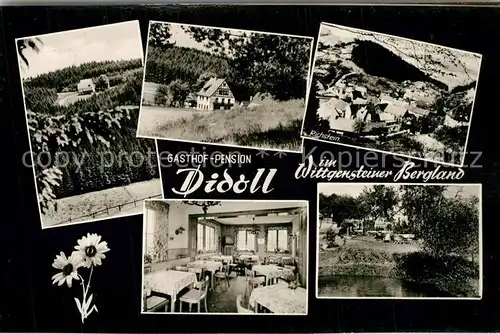 AK / Ansichtskarte Didoll Gasthof Pension Didoll Landschaftspanorama Richstein Didoll