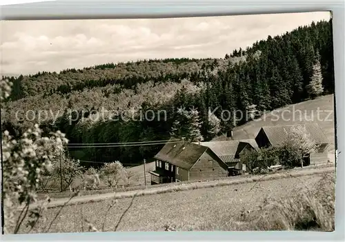 AK / Ansichtskarte Diedenshausen_Wittgenstein Hof Karlsburg Pension Diedenshausen