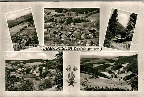 AK / Ansichtskarte Diedenshausen_Wittgenstein Gasthof Pension Dienst Landschaftspanorama Diedenshausen