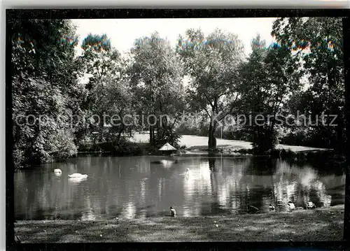 AK / Ansichtskarte Bitburg Park am See Bitburg