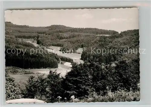 AK / Ansichtskarte Elsoff_Wittgenstein Landschaftspanorama aepfelbachtal Elsoff_Wittgenstein