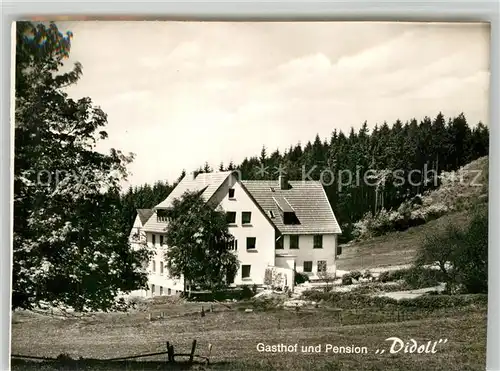 AK / Ansichtskarte Didoll Gasthof Pension Didoll Didoll