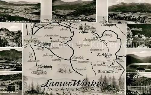 AK / Ansichtskarte Lam_Oberpfalz Lamer Winkel Arber Lohberg Osser Arrach Jugendherberge Arbersee Gebietskarte Lam_Oberpfalz