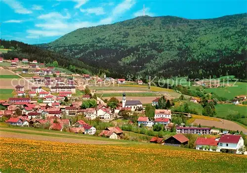 AK / Ansichtskarte Rimbach_Bayrischer_Wald mit Hohenbogen Rimbach_Bayrischer_Wald