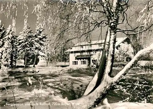 AK / Ansichtskarte Geigant Rosshof Bergpension und Cafe Geigant