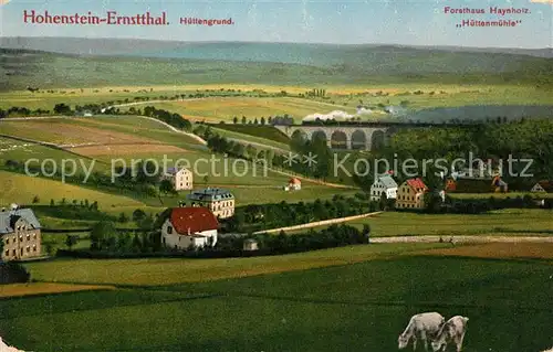 AK / Ansichtskarte Hohenstein Ernstthal Forsthaus Haynholz Huettenmuehle Hohenstein Ernstthal