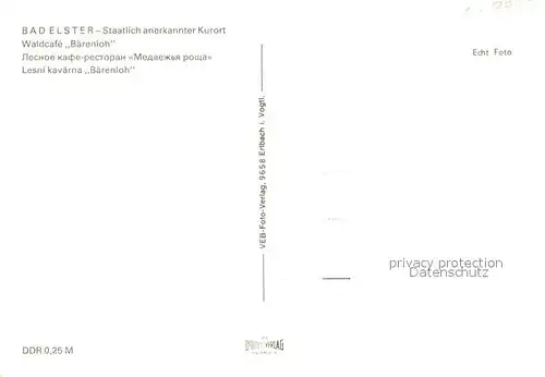 AK / Ansichtskarte Bad_Elster Waldcafe Baerenloh Bad_Elster