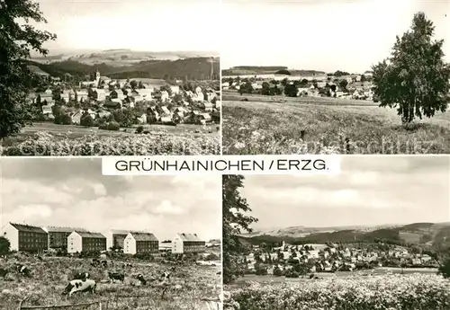 AK / Ansichtskarte Gruenhainichen_Erzgebirge Panoramen Gruenhainichen Erzgebirge