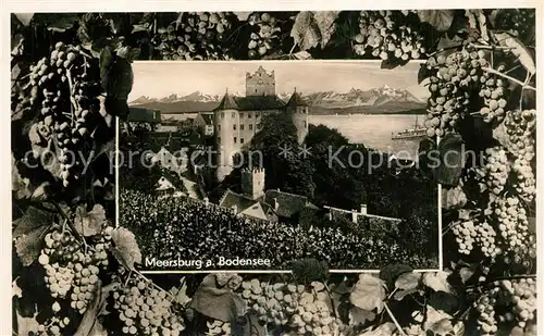 AK / Ansichtskarte Meersburg_Bodensee Schloss Weintrauben Meersburg Bodensee