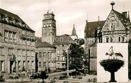 AK / Ansichtskarte Freiburg_Breisgau Albert Ludwig Universitaet Storchennest  Freiburg Breisgau