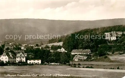AK / Ansichtskarte Friedenfels mit Schloss und Steinwald Friedenfels