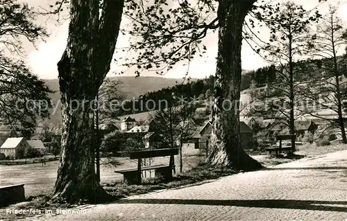 AK / Ansichtskarte Friedenfels im Steinwald Friedenfels