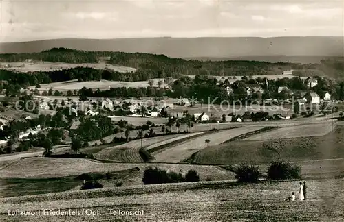 AK / Ansichtskarte Friedenfels Panorama Friedenfels