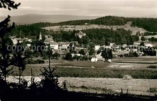 AK / Ansichtskarte Friedenfels im Steinwald Friedenfels