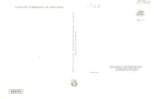AK / Ansichtskarte Friedenfels im Steinwald Friedenfels