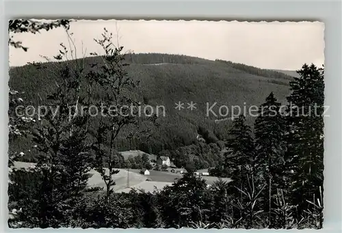 AK / Ansichtskarte Berghausen_Wittgenstein Landschaftspanorama Gasthof Pension Gruenewald Berghausen_Wittgenstein