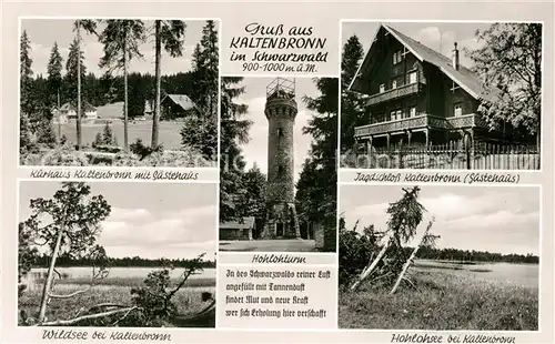 AK / Ansichtskarte Kaltenbronn_Gernsbach Hohlohsee Kurhaus Jagdschloss Kaltenbronn Gernsbach