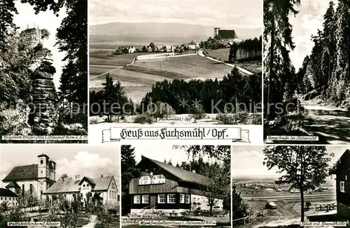 AK / Ansichtskarte Fuchsmuehl Burgruine Weissenstein Panorama Bergstrasse Kloster Marktredwitzer Haus Brandhuette Fuchsmuehl