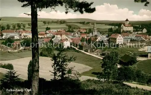 AK / Ansichtskarte Falkenberg_Oberpfalz Panorama Falkenberg Oberpfalz