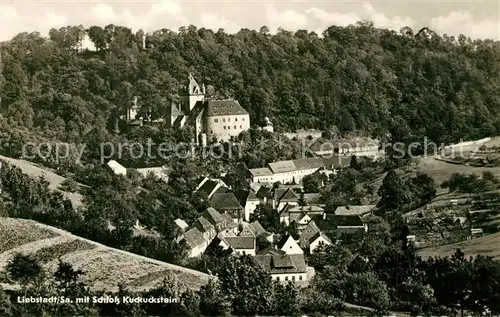 AK / Ansichtskarte Liebstadt mit Schloss Kuckuckstein Liebstadt