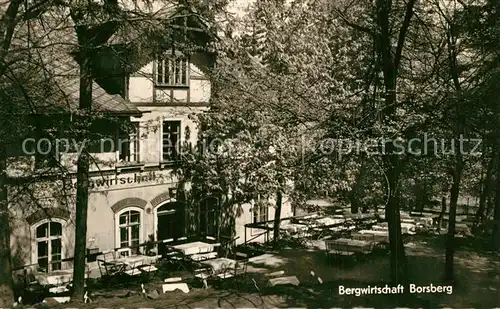 AK / Ansichtskarte Borsberg_Schoenfeld Weissig Bergwirtschaft Borsberg