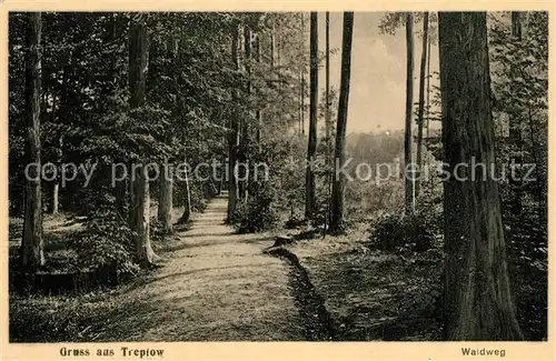 AK / Ansichtskarte Treptow_Tollense Waldweg Treptow_Tollense