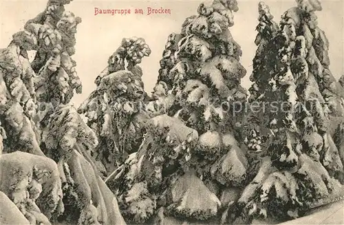 AK / Ansichtskarte Brocken_Harz Verschneite Baumgruppe Brocken Harz