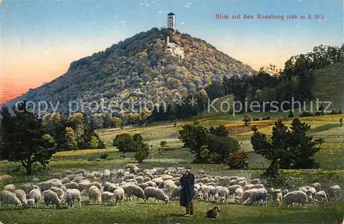 AK / Ansichtskarte Tuebingen Blick zum Rossberg Schafherde Tuebingen