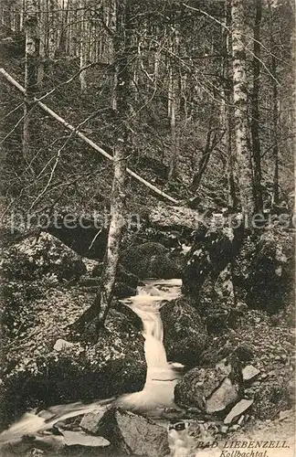 AK / Ansichtskarte Bad_Liebenzell Partie im Kollbachtal Bad_Liebenzell