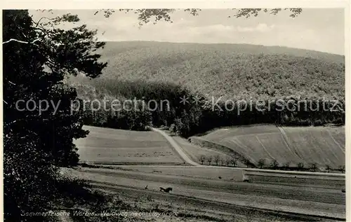 AK / Ansichtskarte Worbis Waldweg Worbis