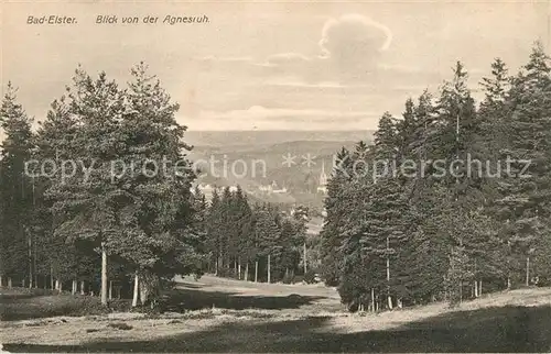 AK / Ansichtskarte Bad_Elster Blick von der Agnesruh Bad_Elster