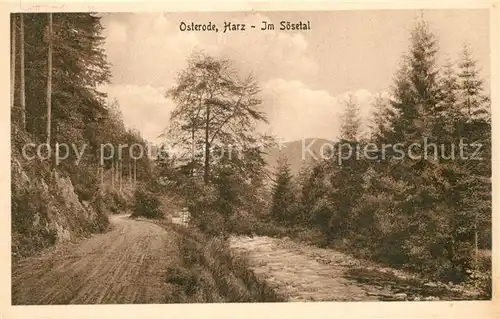 AK / Ansichtskarte Osterode_Harz Im Soesetal Osterode_Harz