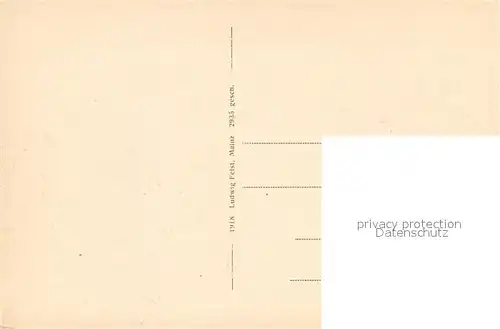 AK / Ansichtskarte Mainz_Rhein Kaiserstrasse aus der Vogelschau Mainz Rhein