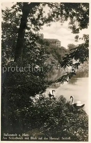 AK / Ansichtskarte Ballenstedt Schlossteich Herzogliches Schloss Ballenstedt