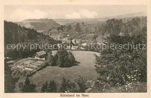 AK / Ansichtskarte Ruebeland_Harz Panorama Ruebeland_Harz
