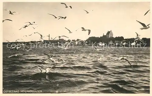 AK / Ansichtskarte Heiligenhafen_Ostseebad Panorama Moewen Heiligenhafen_Ostseebad