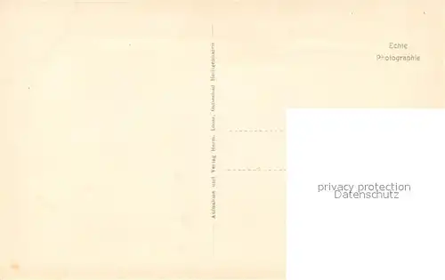 AK / Ansichtskarte Heiligenhafen_Ostseebad Panorama Moewen Heiligenhafen_Ostseebad