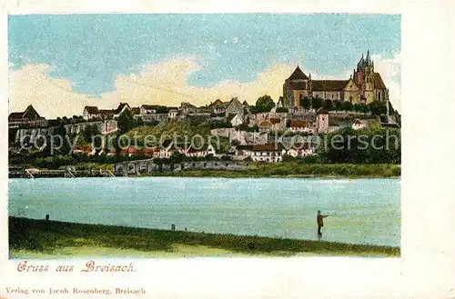 AK / Ansichtskarte Breisach_Rhein Muenster Panorama Breisach Rhein